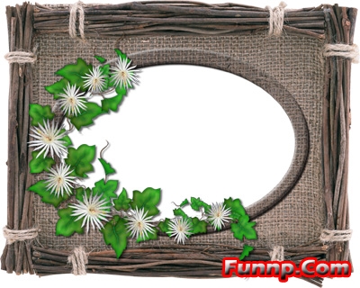 Funny Picture Frames on 1534736573 Funny Flower Picture Frame Jpg